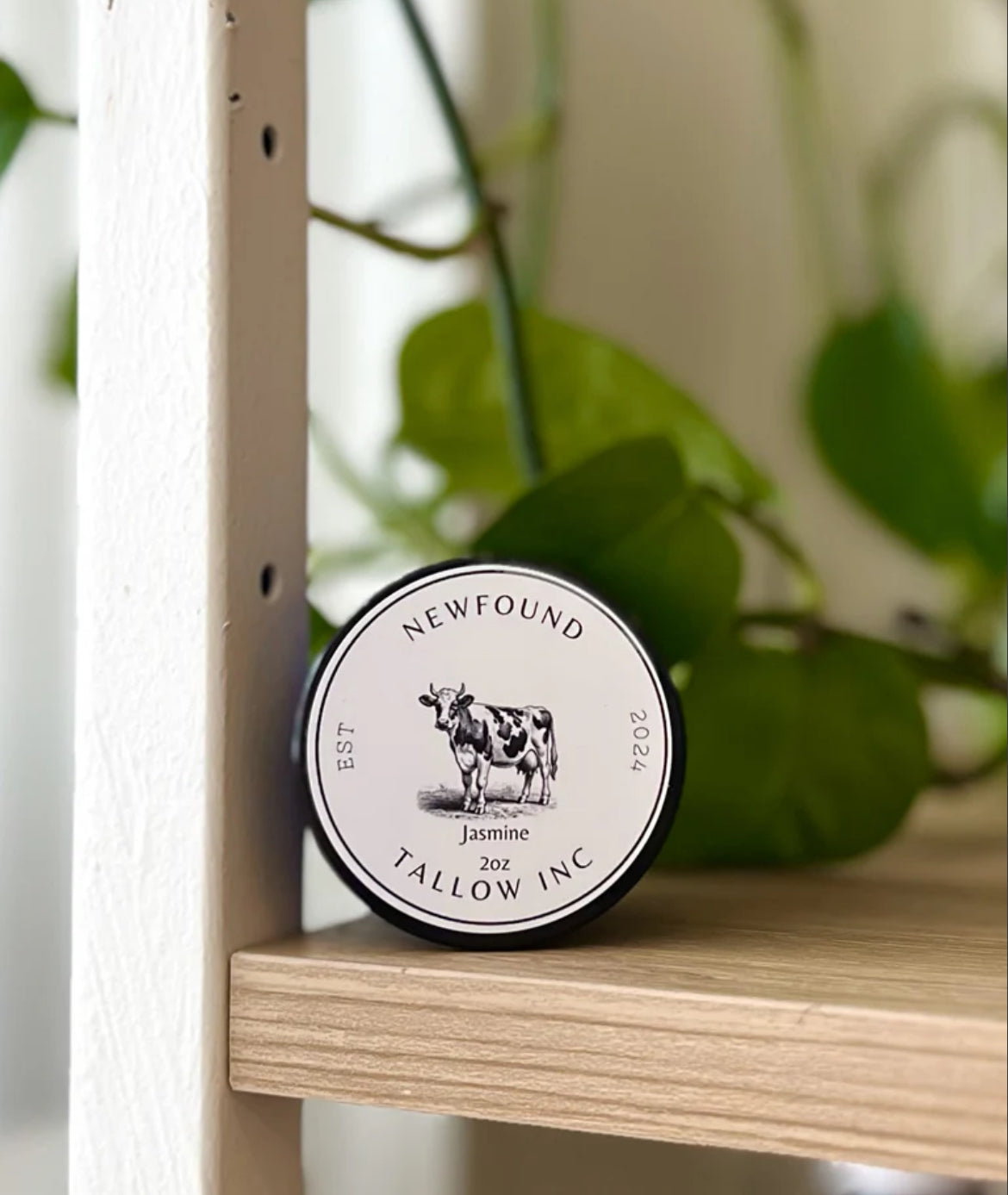 Jasmine Tallow