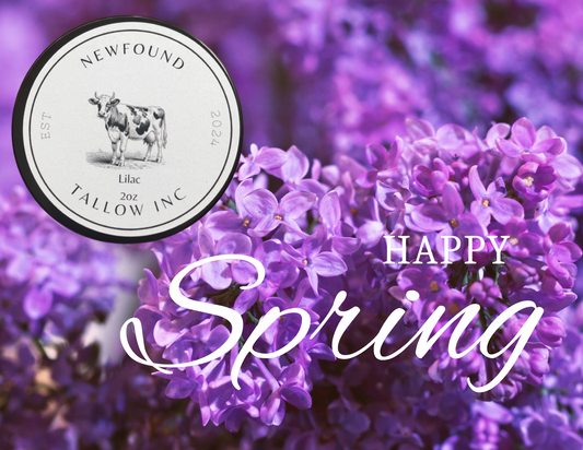 Lilac Tallow